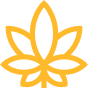 Індіка