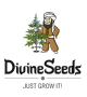 Divine Seeds