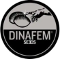 Dinafem