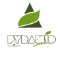 Pyramid Seeds