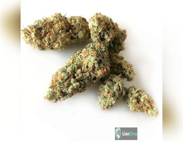 Auto Opium Feminised