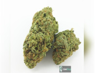 Auto Afgan Kush Feminised