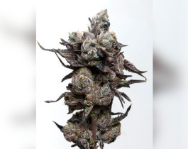 Green Poison